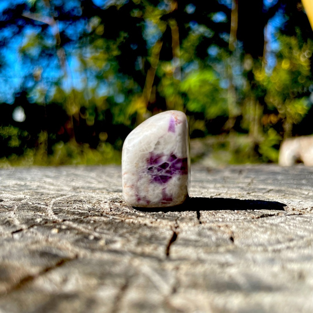🪻Chevron Amethyst